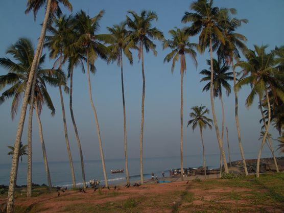Oceanic Beach Residency Varkala Exteriör bild